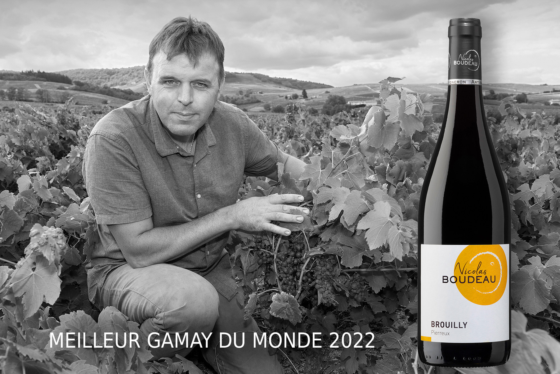 2 Médailles d&#039;Or pour le Domaine Nicolas Boudeau au Concours International du Gamay ce samedi 14 janvier 2023 !