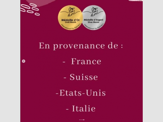 Le Meilleur Gamay du monde 2022 a été produit au Domaine Nicolas Boudeau !