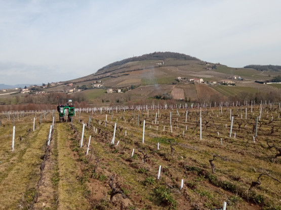 Labour de printemps
