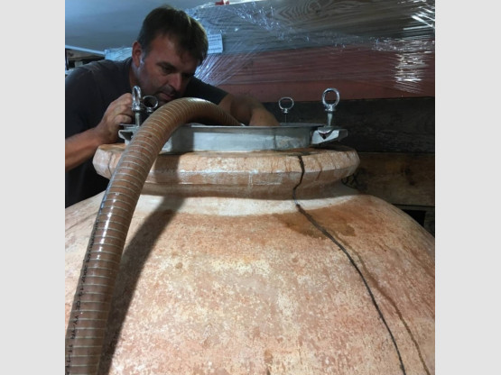 Mise Côte de Brouilly 2019 élevé en Amphore