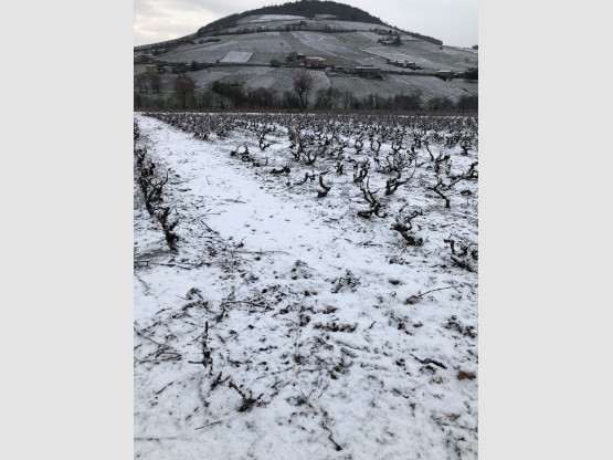 Neige en Terre des Brouilly !