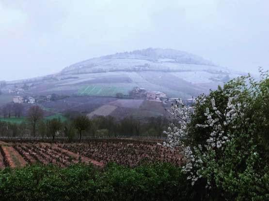 1er Avril 2022 vu par Nicolas Boudeau en Terre des Brouilly depuis les vignes des Jacquets