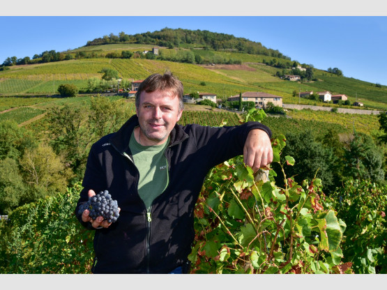 Vendanges 2023