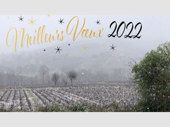 Meilleurs Voeux 2022