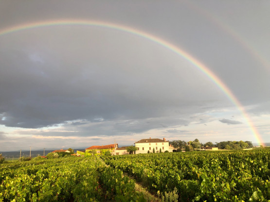 Vendanges 2022