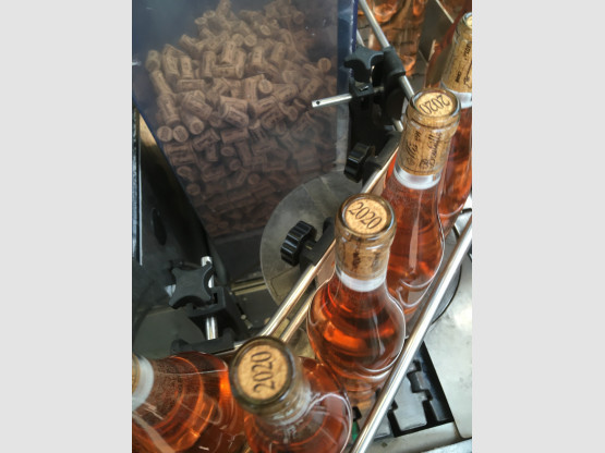 Mise en bouteilles Beaujolais Villages Rosé 2020 Domaine Nicolas Boudeau