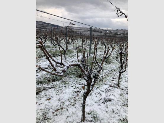 Neige en Terre des Brouilly !