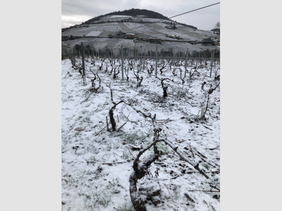 Neige en Terre des Brouilly !