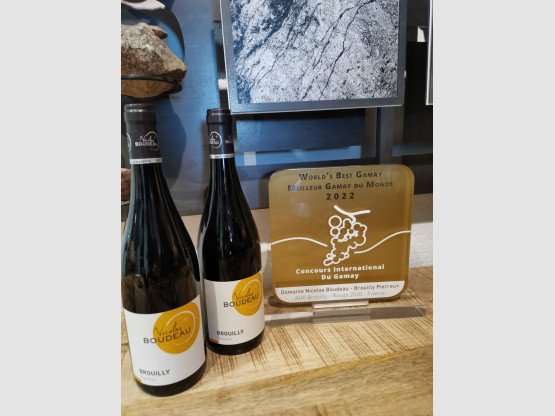 Remise officielle du trophée du Meilleur Gamay du monde !