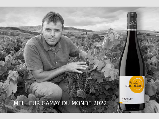 2 Médailles d&#039;Or pour le Domaine Nicolas Boudeau au Concours International du Gamay ce samedi 14 janvier 2023 !