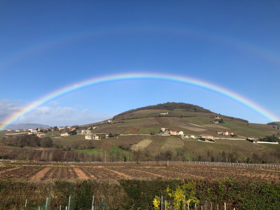 Superbe arc-en-ciel au-dessus du Mont Brouilly dans le Beaujolais