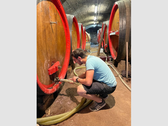 Détartrage des foudres en bois