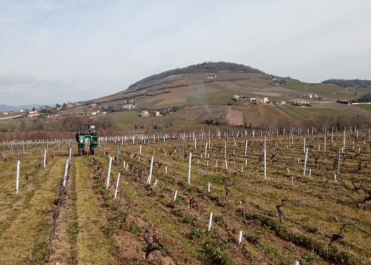 Labour de printemps