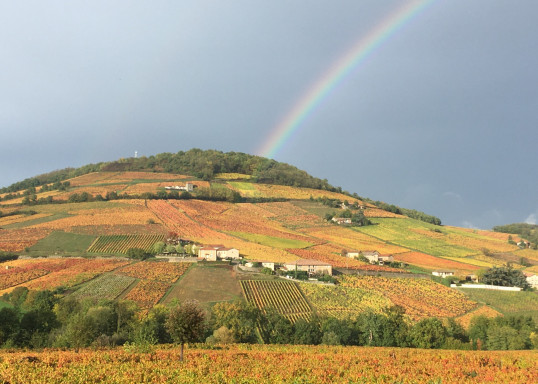 Mont Brouilly