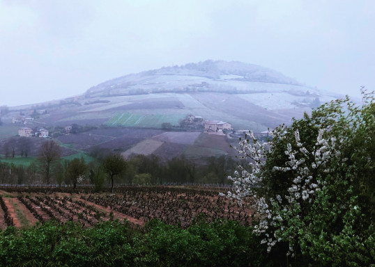 1er Avril 2022 vu par Nicolas Boudeau en Terre des Brouilly depuis les vignes des Jacquets