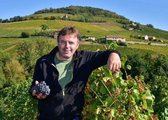 Vendanges 2023