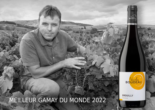 2 Médailles d&#039;Or pour le Domaine Nicolas Boudeau au Concours International du Gamay ce samedi 14 janvier 2023 !