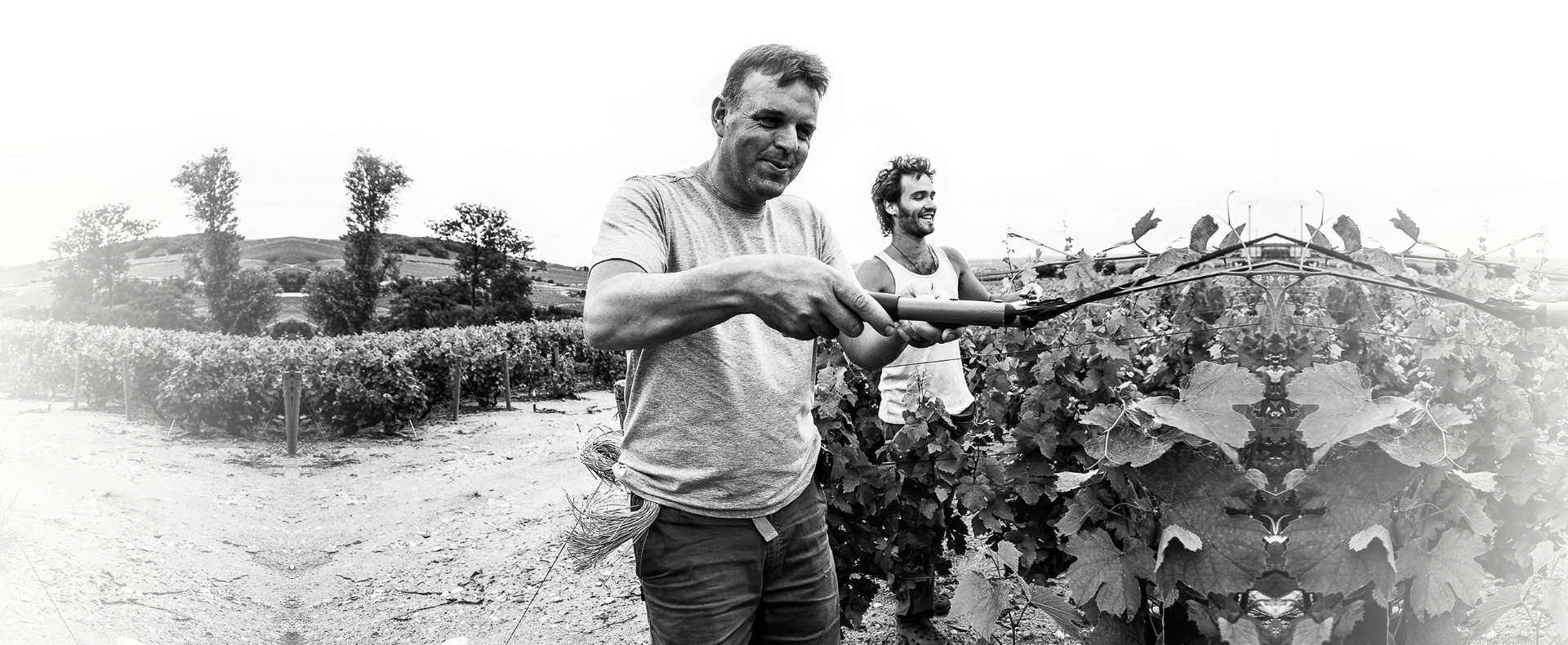 Philosophie : Footer - Nicolas Boudeau taille les vignes du Domaine Nicolas Boudeau