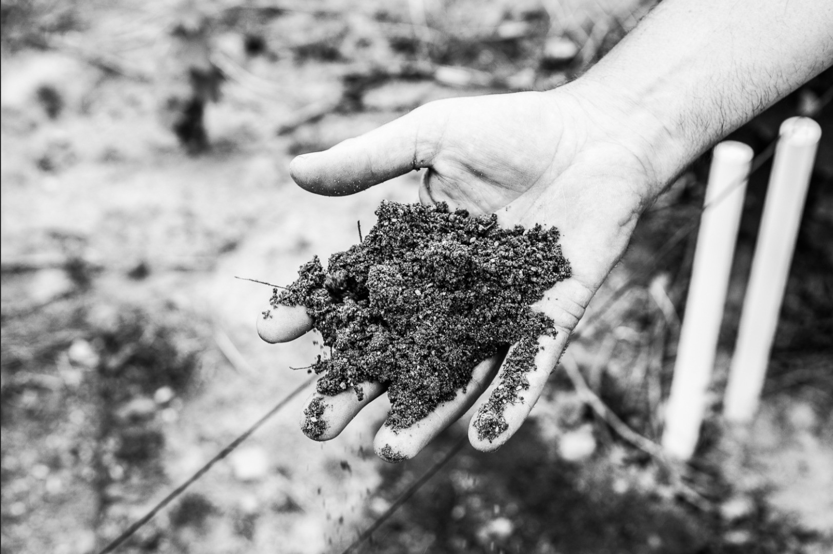 Philosophie : La terre