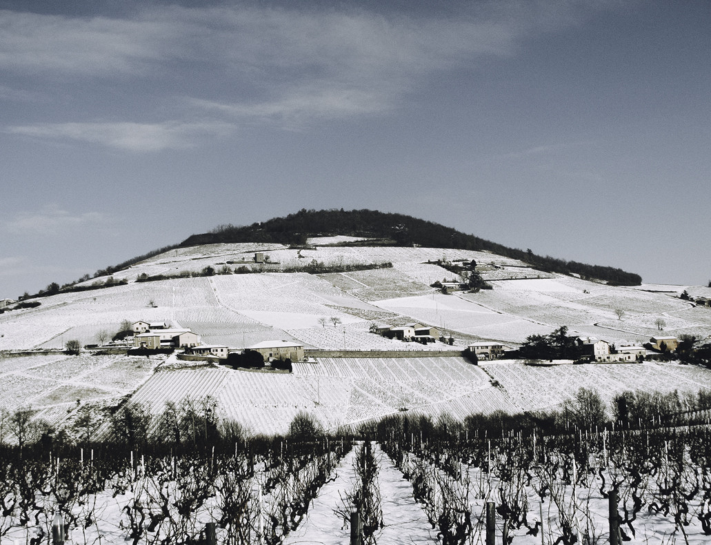Mont Brouilly saisons - Hiver