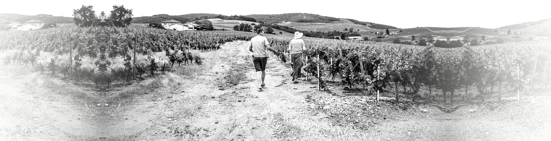 Accueil : Footer - Michelle et Nicolas marchent dans les vignes du Domaine Nicolas Boudeau
