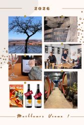 Meilleurs Voeux à tous !