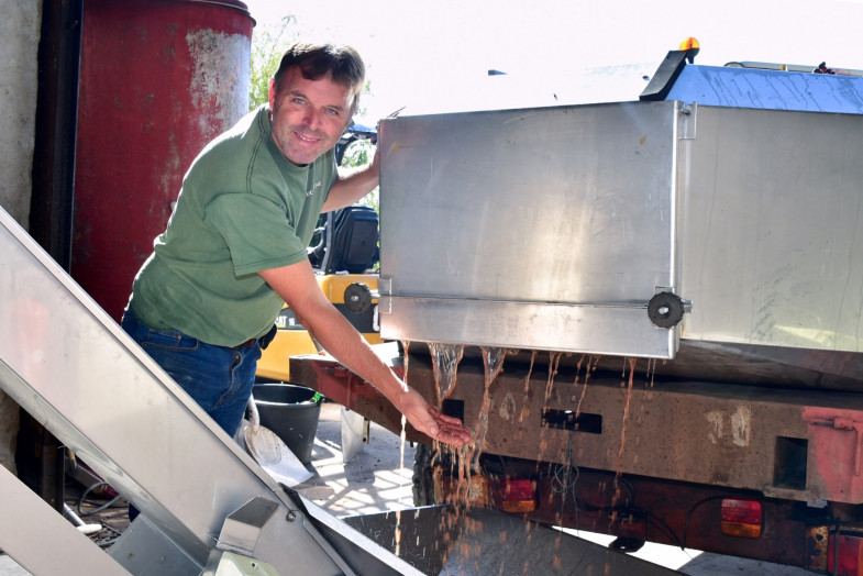 Philosophie : Les vendanges