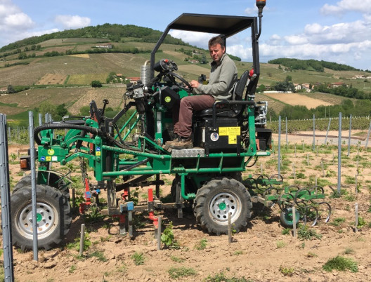 Philosophie : Travail du sol de nos vignes